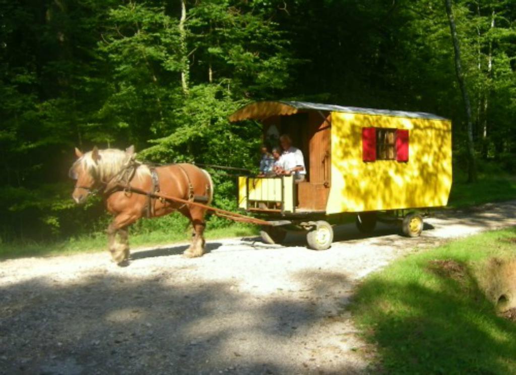 Che'Val D'Amour Ecleux Exterior foto